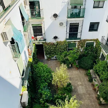 Magic Point Apartment
