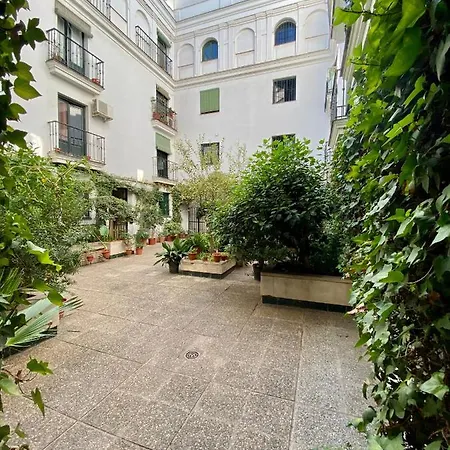 Magic Point Apartment *